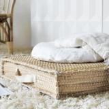 selinesteba.com - 02-nipprig-01