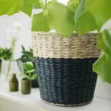 selinesteba.com - 05-nipprig-02