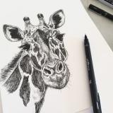 selinesteba.com - 4D66E0D6-A240-4386-A18B-4E5B110C61BA_1_201_a.jpeg