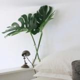 selinesteba.com - banana-leafs-cupofjocom-