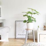 selinesteba.com - Camera-proof huis.JPG