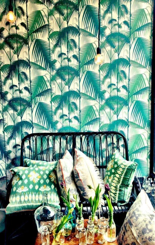 selinesteba.com - cole-and-sun-palmtree-wallpaper