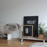 selinesteba.com - dmlights giveaway.JPG