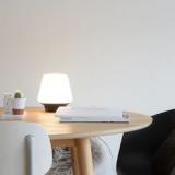 selinesteba.com - dmlights giveaway.JPG