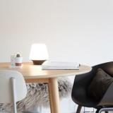 selinesteba.com - dmlights giveaway.JPG