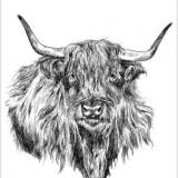 selinesteba.com - E7A76C28-9071-41DD-B6B8-52898DC12237_1_201_a.jpeg