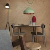 selinesteba.com - edwinpelser-2