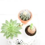 selinesteba.com - Etagere mooi goed.JPG