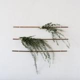 selinesteba.com - Eucalyptus als wandversiering.jpg