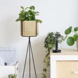 selinesteba.com - Ferm Living Misterdesign.JPG