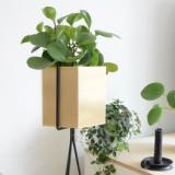selinesteba.com - Ferm Living Misterdesign.JPG