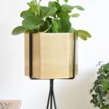 selinesteba.com - Ferm Living Misterdesign.JPG