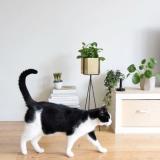 selinesteba.com - Ferm Living Misterdesign.JPG