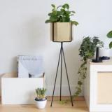 selinesteba.com - Ferm Living Misterdesign.JPG