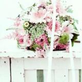 selinesteba.com - foto-kopie-2