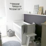 selinesteba.com - foto