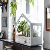 selinesteba.com - greenhouse2-1