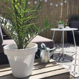 selinesteba.com - ibiza tuin Seline Steba.JPG