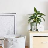 selinesteba.com - Idee Zusss mandenJPG