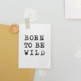 selinesteba.com - Ideeen met behang.JPG