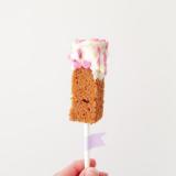 selinesteba.com - img-0239