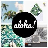 selinesteba.com - img-0809