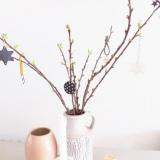 selinesteba.com - img-4361