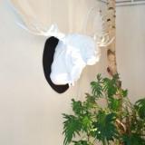 selinesteba.com - img-4716