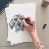 selinesteba.com - IMG_4902Week in foto's Seline Steba