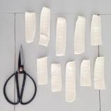 selinesteba.com - img-4946