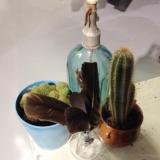 selinesteba.com - img-5028