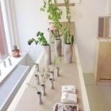 selinesteba.com - img-5477