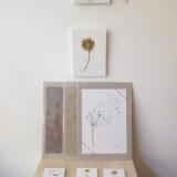 selinesteba.com - img-5478