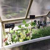 selinesteba.com - img-5484