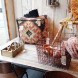 selinesteba.com - img-6797