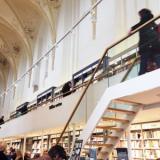 selinesteba.com - img-6802