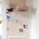 selinesteba.com - img-9205