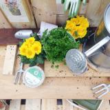 selinesteba.com - img-9486