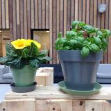 selinesteba.com - img-9495