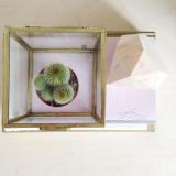 selinesteba.com - img-9916