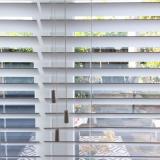 selinesteba.com - insideblinds06.JPG