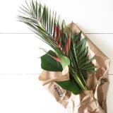 selinesteba.com - insideblinds08.JPG