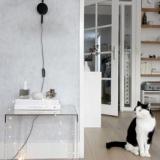 selinesteba.com - Kartell01.jpeg