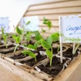 selinesteba.com - kweeklabels-01