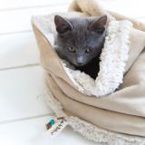 selinesteba.com - Loulabelle via Seline Steba.jpg