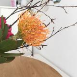 selinesteba.com - mooiwatbloemendoen11.JPG