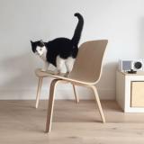 selinesteba.com - Muuto Visu Loungechair07.JPG