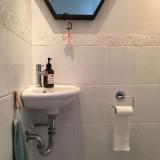 selinesteba.com - nieuw toilet.JPG