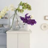 selinesteba.com - orchidee01.jpg