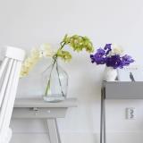 selinesteba.com - orchidee02.jpg